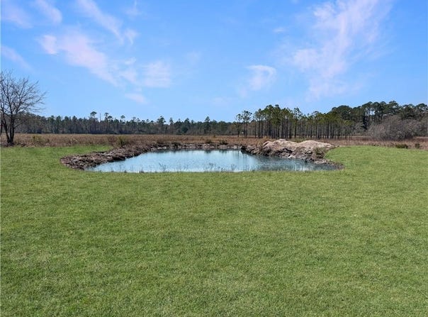 0 Humpback Road Other, Hortense, GA 31543