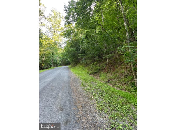 Lot 161 LEE RD, BASYE, VA 22810