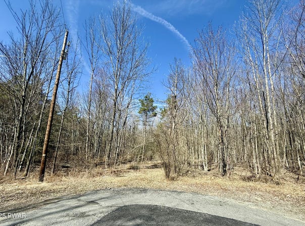 Lot 24 Laurel Drive, Honesdale, PA 18431