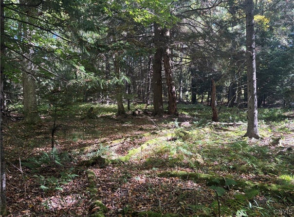 Moehs Road, Old Forge, NY 13420