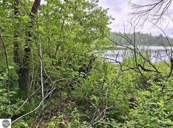 5796 Lake Five Lane, Kalkaska, MI 49646