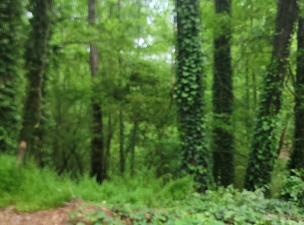 48 Lake Latimer, Kennesaw, GA 30144