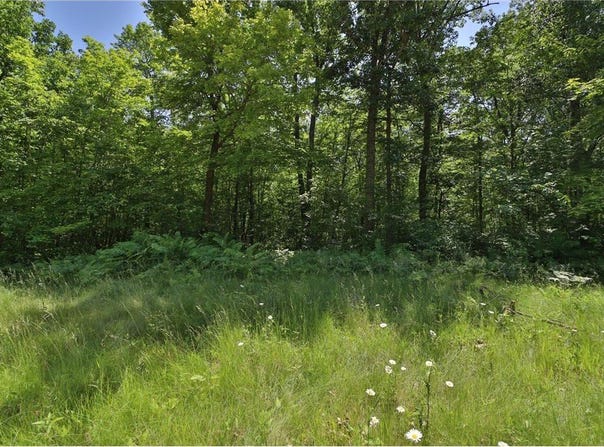 Tract D Olander Road, Crosby, MN 56441