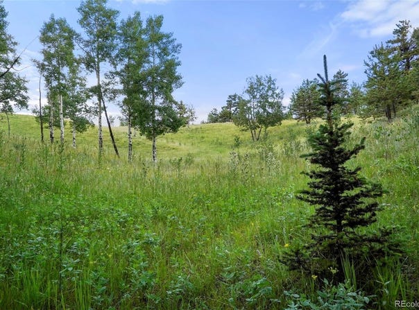 0 Schubarth Trail, Woodland Park, CO 80863