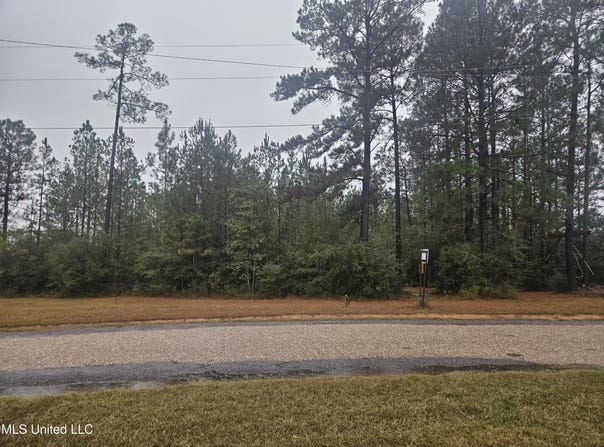 E Lake Cypress Drive, Perkinston, MS 39573