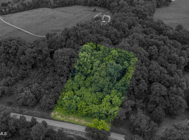 Lot 7 Clear Springs Road, Limestone, TN 37681