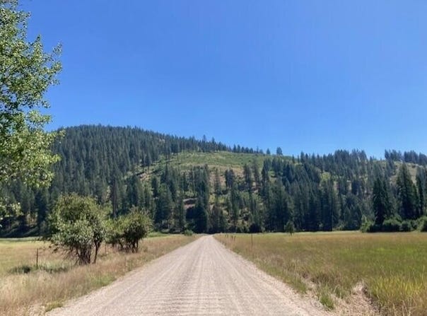 25XX HALL CREEK RD, INCHELIUM, WA 99138