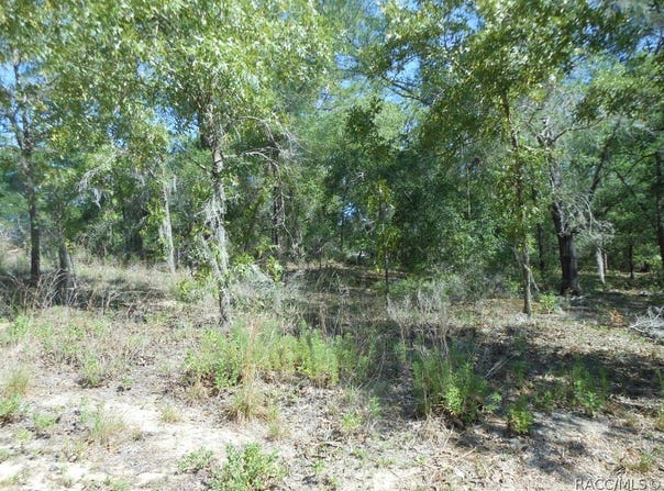 5225 E Prentice Lane, Inverness, FL 34452