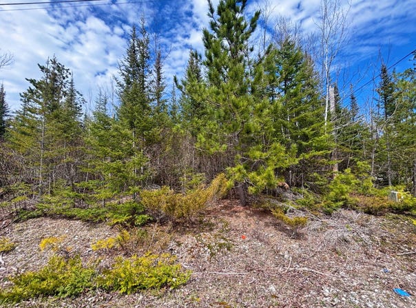 W Norwood Court lot: 116, Presque Isle, MI 49777
