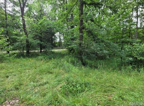 951 County Road 514, Wappapello, MO 63966