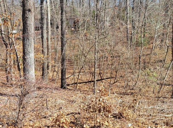 11436 STIRRUP LANE, LUSBY, MD 20657