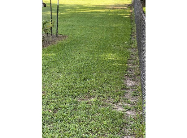 Conway, AR 72034