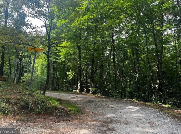 Pitts Way, Rabun Gap, GA 30568