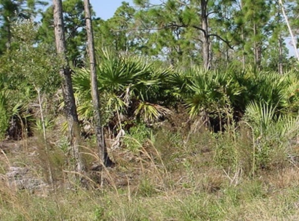 0000 Unknown, Malabar, FL 32950