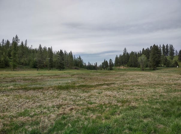 E Jump Off Rd, Valley, WA 99181