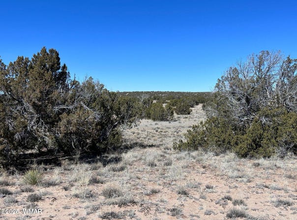 004a N N7204, St. Johns, AZ 85936