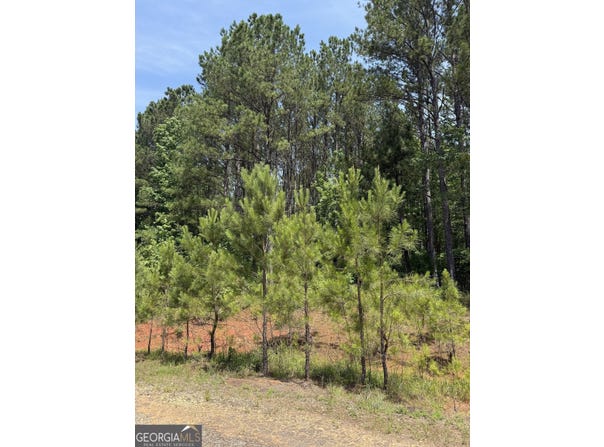 102 Lisa Woods, Eatonton, GA 31024