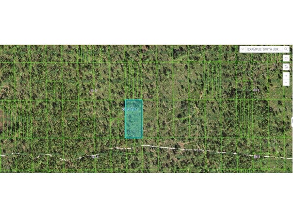 60 E STREET, LAKE WALES, FL 33898