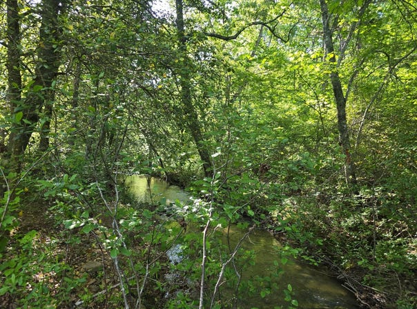 TR 21&22 PINE TREE TRAIL, Albion, OK 74571