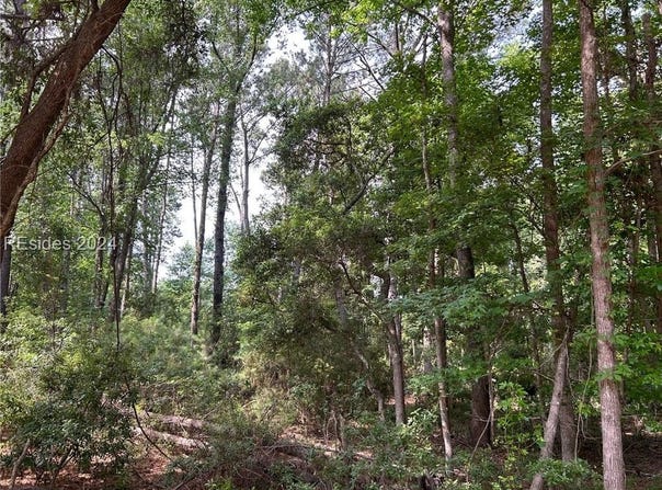 114 Cooper River Landing Road, Daufuskie Island, SC 29915