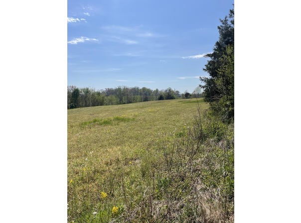 3540 Mark Welborn Road, Somerset, KY 42503