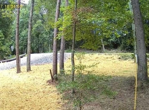 Lot 195 Shenendoa Dr., Ellijay, GA 30540