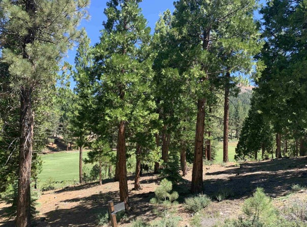 2066 Grizzly Ranch Road lot: 229, Portola, CA 96122
