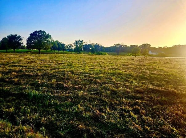 Lot 2 County Road 3541, Saltillo, TX 75478