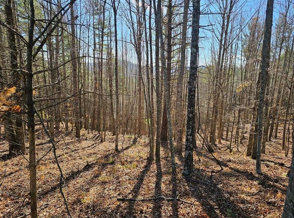 1248 Buck Trl, Woodlawn, VA 24381