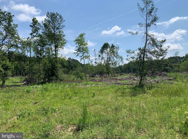 0 WARREN, PITTSVILLE, MD 21850