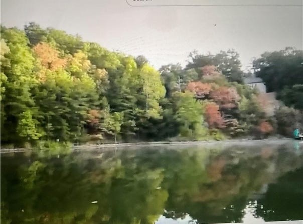 Lot 7 of Block 5 Stateline  DR, Holiday Island, AR 72631