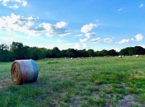 Tbd CR 4410, Commerce, TX 75428