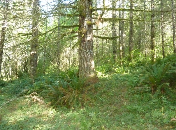 Thompson RD, Yacolt, WA 98675