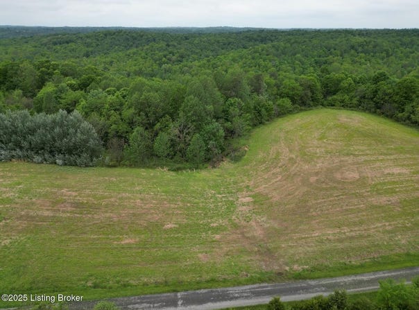 Duvall Rd lot: 15, Caneyville, KY 42721