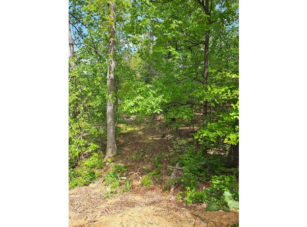 0 RIDGE VIEW LN, ELKTON, VA 22827
