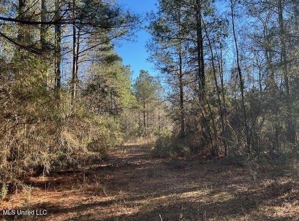 1059 Candy Lane, McComb, MS 39648