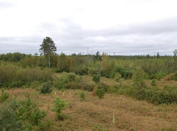 Tbd Darsnek Road, Emily, MN 56447