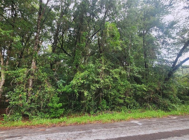 3874 S GEMINI Point, HOMOSASSA, FL 34448