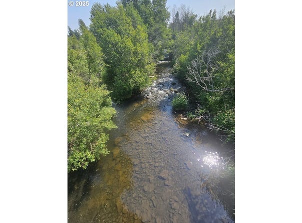 Olson RD, Centerville, WA 98613