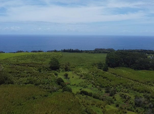 1-3 PRIVATE RD, Hakalau, HI 96710