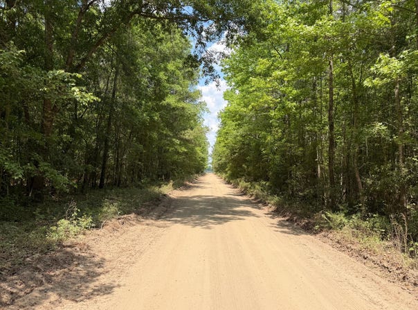 Toney Bay Road, Holly Hill, SC 29059