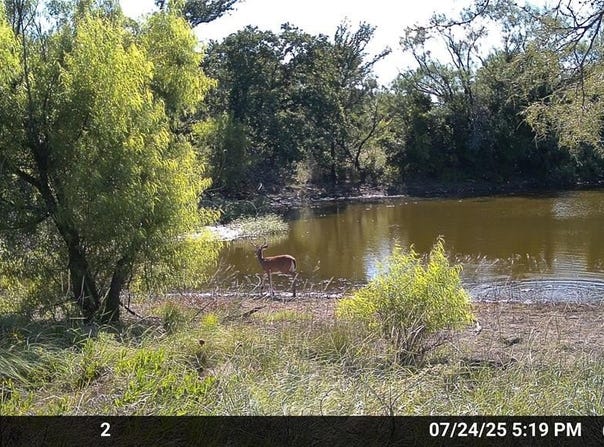 N/A Wayland Ranches, Breckenridge, TX 76424
