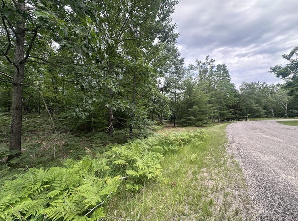 Partridge Place lot: 1634, Gaylord, MI 49735
