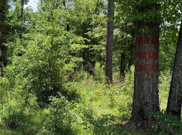 98 Holly Isles-Harvel Pond Rd, Donalsonville, GA 39845
