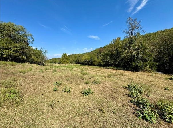 TBD State Highway 59, Noel, MO 64854