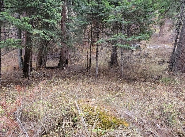 Chief Joseph Way, Imnaha, OR 97842