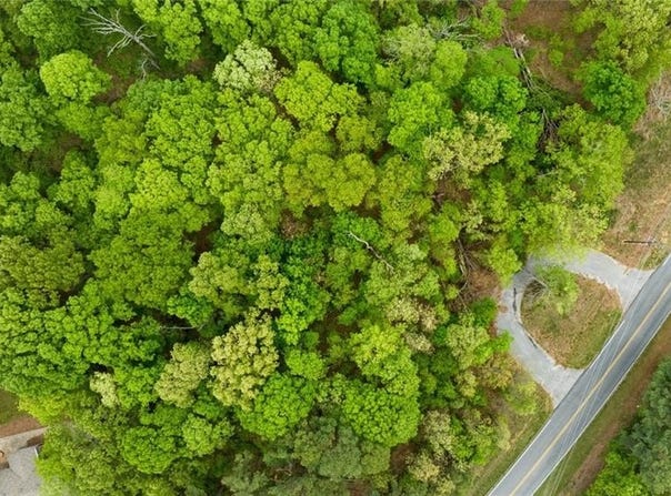 Lot 1 Gordon  CIR, Bella Vista, AR 72715