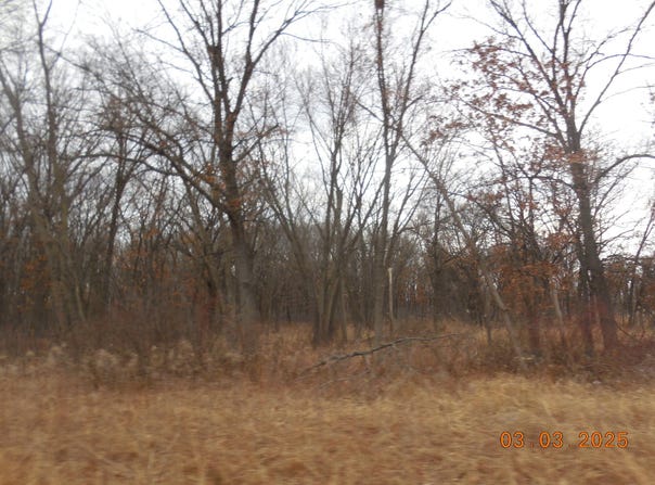 1110 S Lafayette Avenue, Griffith, IN 46319