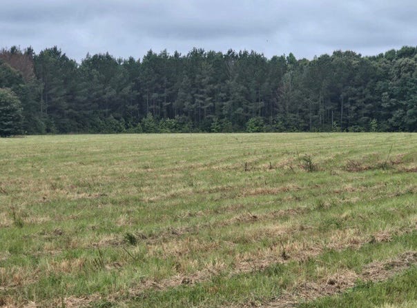 Oak Village Road, Akron, AL 35441