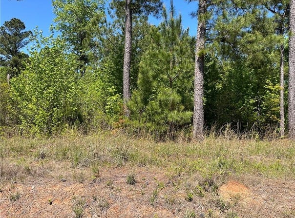 Greenburt Road, Seale, AL 36875